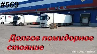 569 В Волочке уже 8 светофоров