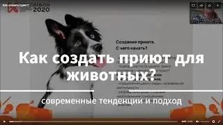 Как создать приют: реальность и тенденции.