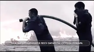 Социальная реклама  причина лесного пожара   человек