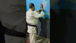 Glass bottle BREAKING (Tameshiwari)