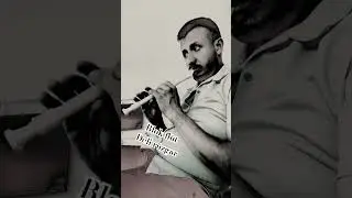 Blok flüt deli rüzgar