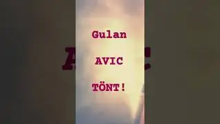 Gulan Avic tönt