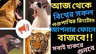 Best Animal Ringtone! আপনার ফোনে এই রিংটোন বাজলে সবাই হা করে শুনবে! Bangla Tutorial