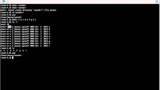 Introduction to the Shell pt4