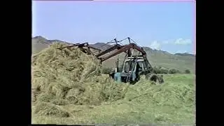 Cенокос в Оронгое