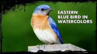 Birds in watercolors, painting tutorial