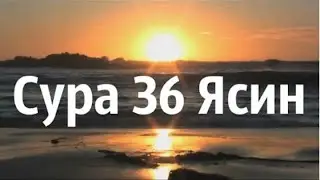 Красивое чтение суры Ясин, с переводом.36сура Корана