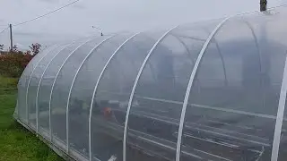 Плёнка 