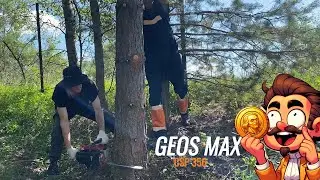 Всё невозможное возможно Бензопила GEOS CSP 356