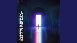 Dark In The Light (Extended Mix)