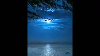 Relax and enjoy instrumental music...