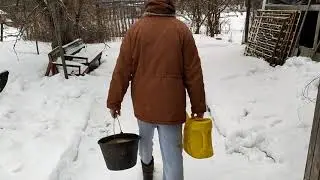 Свиновод знай !  В мороз - рыбий жир дай // Самодельный Рыбий Жир // Разговор с кабаном Борькой