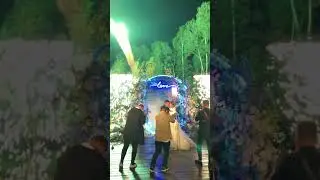 Свадебные спецэффекты на торт 🎂