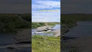 Арктические зарисовки . Тундровые реки.