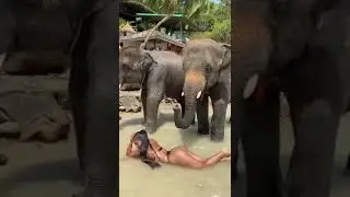 ТАКОГО ВЫ ДАВНО НЕ ВИДЕЛИ !!! МАССАЖ !!! РЖАЧ !!! УГАР !!! 18+ (прислали ватсапом)