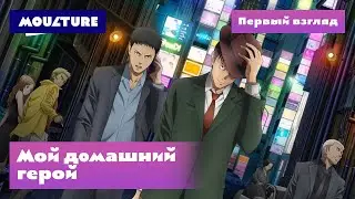 Аниме-сериал «Мой домашний герой» – первый взгляд