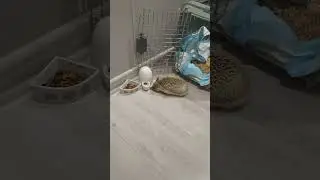 ⏰🧸Ночью сидим на балконе