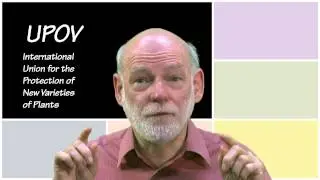 Seeds of contention, control or diversity?