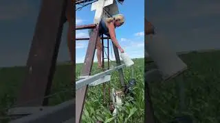 Pivots