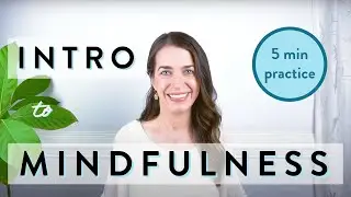 5 Minute Mindfulness Meditation for Beginners