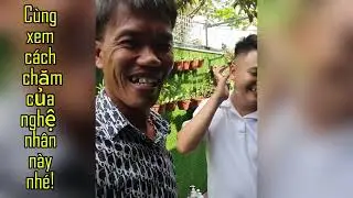 Cùng xem Cách chăm chào mào của Nghệ nhân đá Ô tô sớm nhất Việt Nam