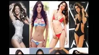 Miss Universe