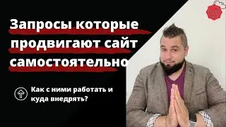Вставляем запросы в страницу. Определяем релевантную страницу запросу | Увеличить посещаемость сайта