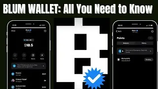 $Blum Utility Wallet; All you need know || Blum airdrop Late and Early Wallet Connection.