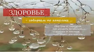 Добрые советы/ Здоровье собираем по капельке