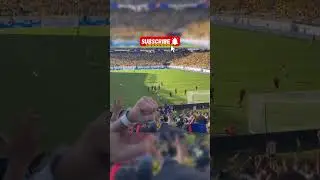 Raphinha's superb free kick goal vs Colombia. #footballshorts #soccer