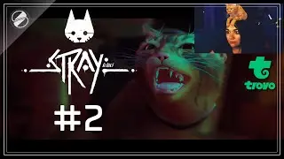 Stray #2 (прохождение на стриме)
