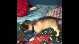 Starving two month old.