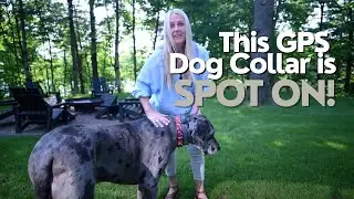 Discover the Spot On Game-Changing GPS Dog Fence!