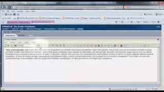 using the page editor