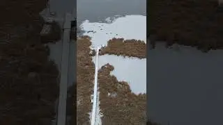 Ice Forming on Llae During Snowstorm