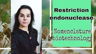 Restriction endonuclease - nomenclature biotechnology #biology #class12 #neet #neet2022