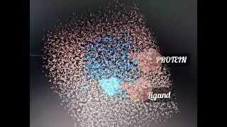 Protein-Ligand Dynamic Interaction in a real time  | Molecular Dynamics Simulation | 500 nanoseconds