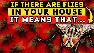 Discover the Spiritual Meaning of FLIES in Your Home. It's Amazing! 🪰🏠