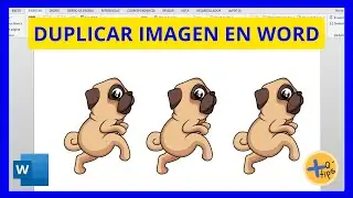 Cómo DUPLICAR IMAGEN en WORD