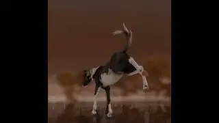 #horse #starstableonlinehorses #ssoedit #starstableonlineedit #edit #horsegame #starstablehorses