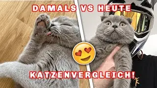 MOJI REAGIERT AUF NACHO & BOUNTY! DAMALS & HEUTE! 😍