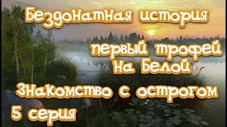 РР4 | Бездонатная история | 5 серия | Первый трофей на Белой | Знакомство с острогом