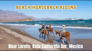 Horseback Riding on Ligui Beach near Loreto