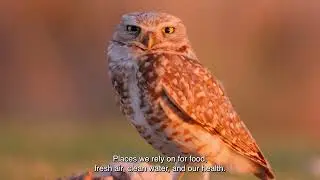 Nature Connects Us All: POST's Journey