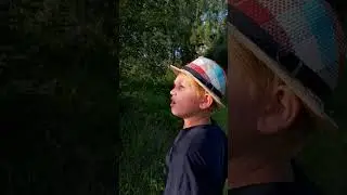 Батя и поход за ягодами