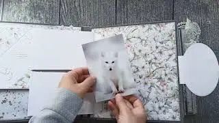 Семейный фотоальбом