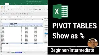 Excel Tutorial   Pivot Table using Percentages