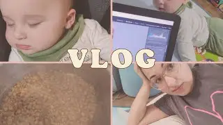 Vlog do nosso dia, arrumando a bagunça, dica mistura para afastar mosquitos, edição de fotos