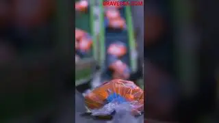 Jenis bisnis apa yang paling diuntungkan dari struktur tarif?