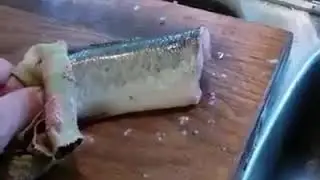 Бессмертная рыба